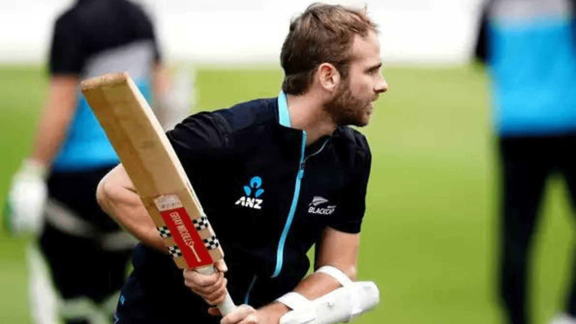 Kane Williamson, Williamson in ODI World Cup