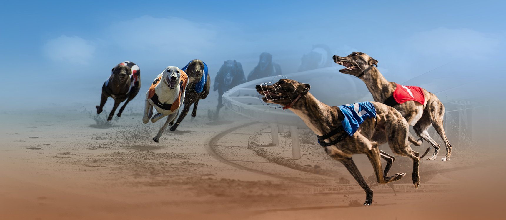 KM Virtual Hound Racing