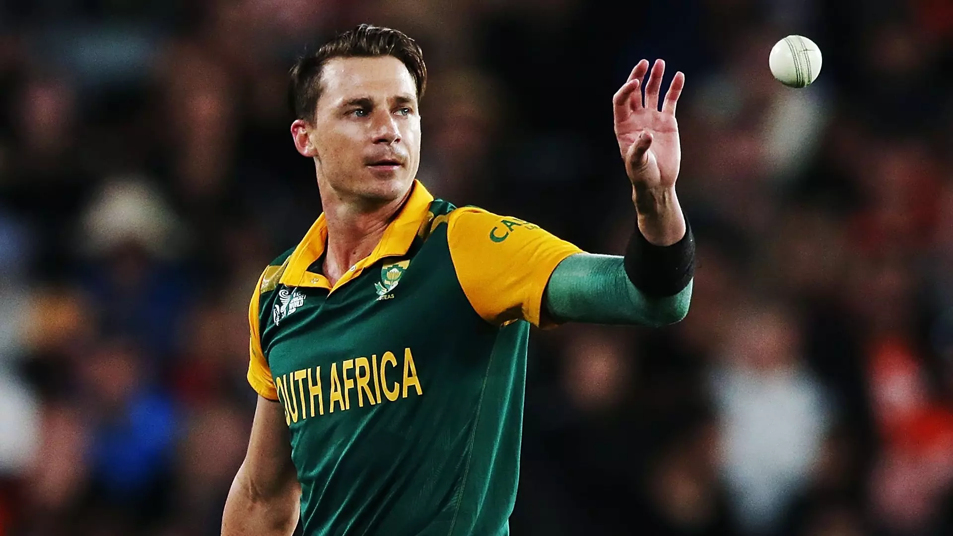 Dale Steyn