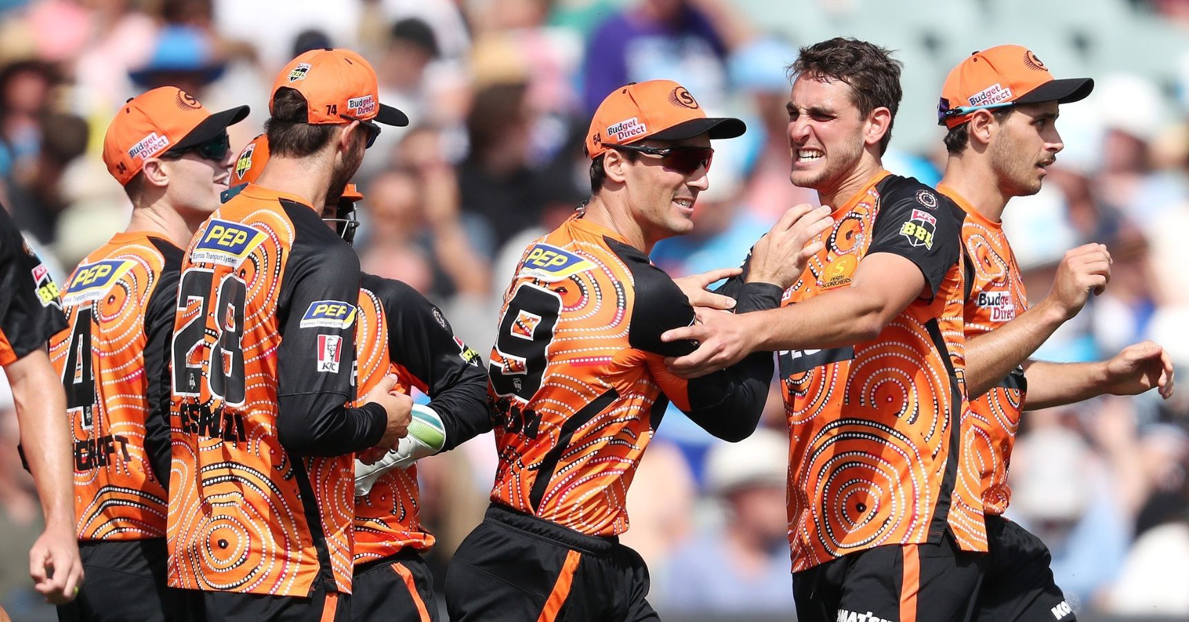 perth scorchers