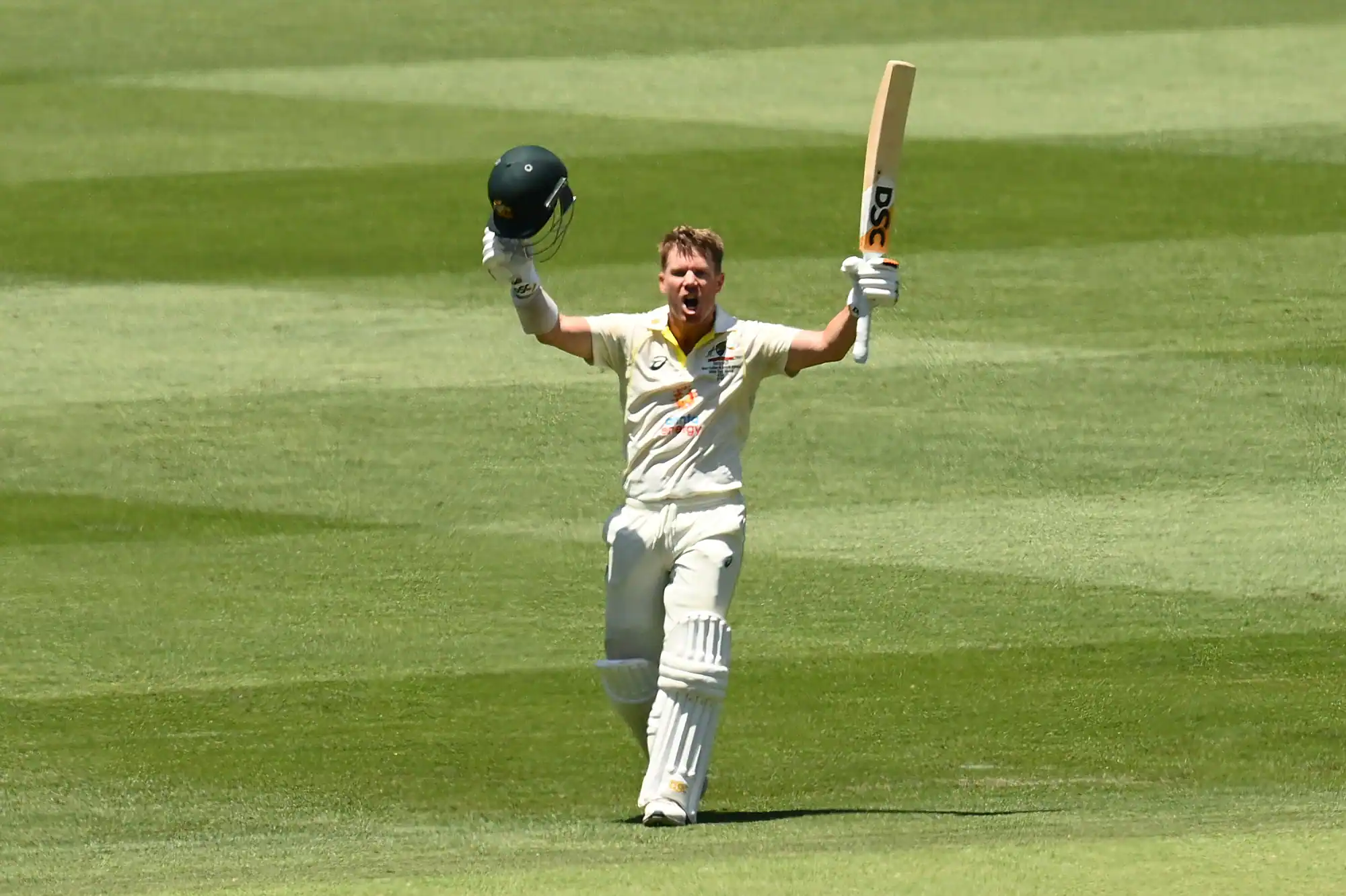 David Warner